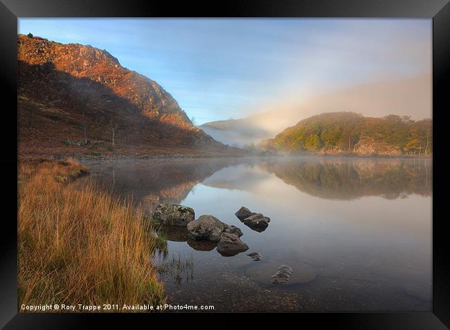 Rising mist over Llyn Dinas Framed Print by Rory Trappe