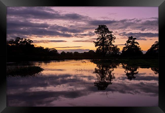 River Culm at Columb John Framed Print by Pete Hemington