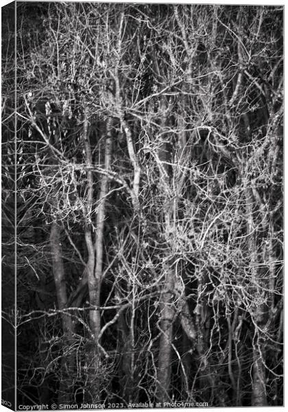 Sunlit branches monochrome  Canvas Print by Simon Johnson