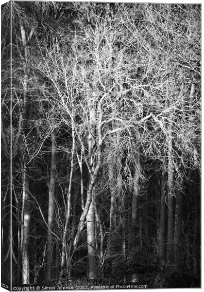 Sunlit woodland monochrome  Canvas Print by Simon Johnson