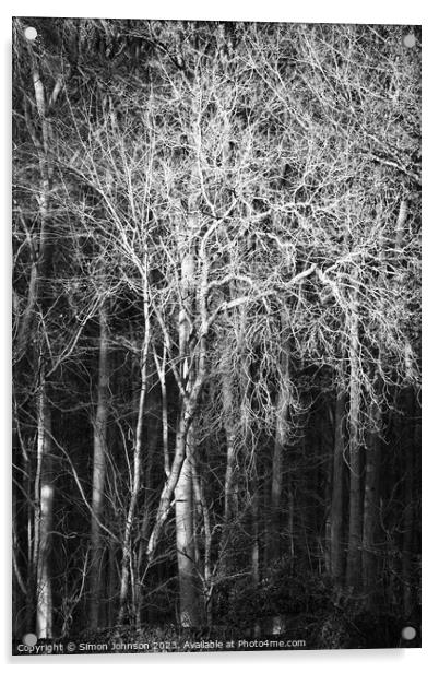 Sunlit woodland monochrome  Acrylic by Simon Johnson