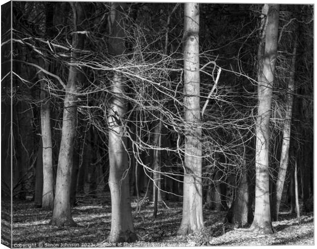 sunlit woodland h Canvas Print by Simon Johnson