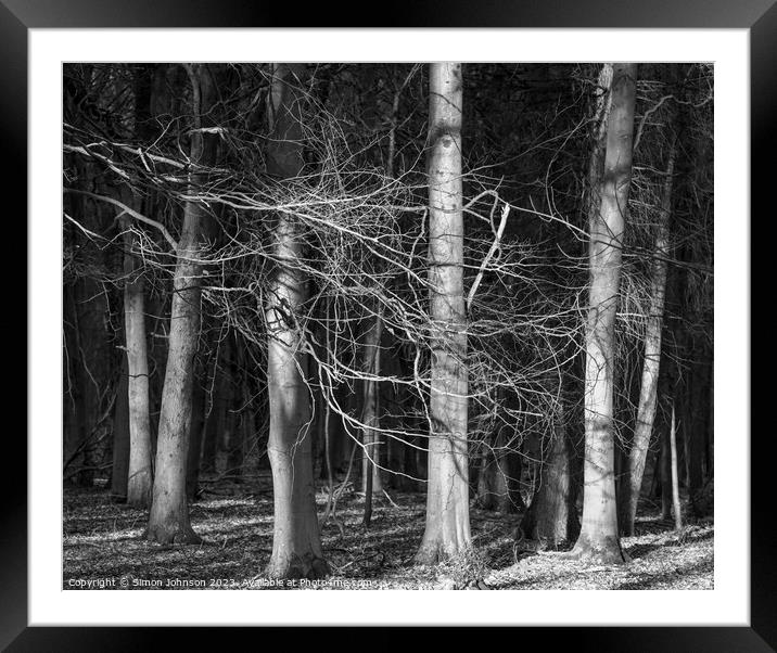 sunlit woodland h Framed Mounted Print by Simon Johnson