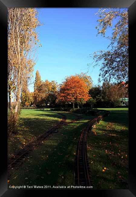 Autumn tracks Framed Print by Terri Waters