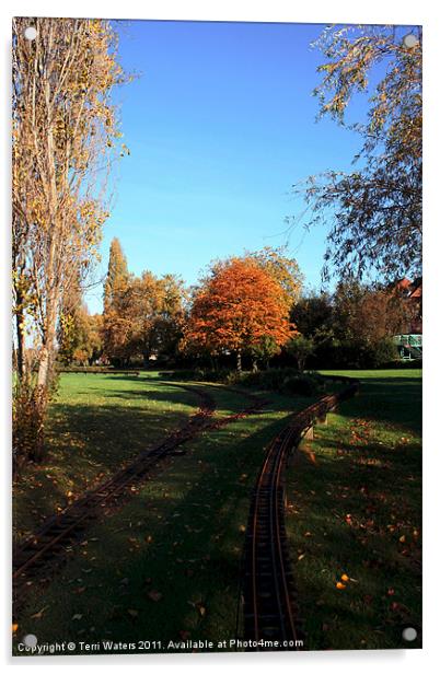 Autumn tracks Acrylic by Terri Waters