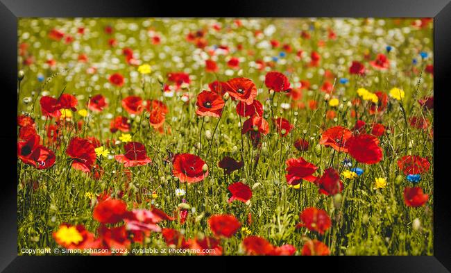 poppy  field Framed Print by Simon Johnson