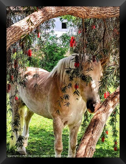A brown horse standing next to a forest Framed Print by Pelin Bay