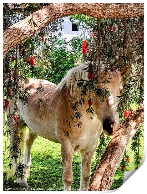 A brown horse standing next to a forest Print by Pelin Bay