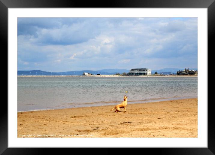 Beach fun  Framed Mounted Print by Pelin Bay
