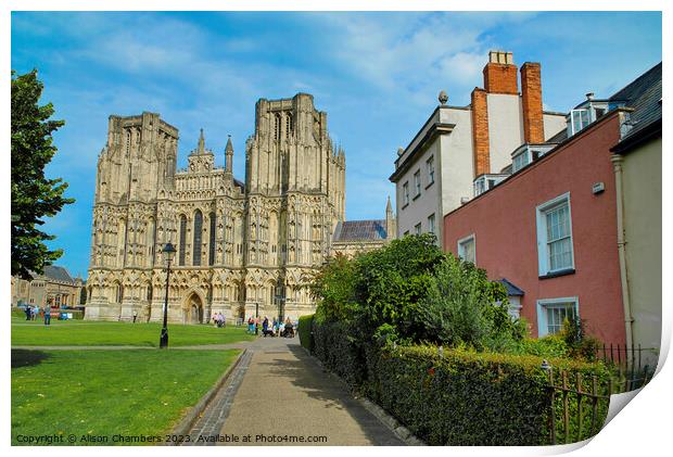 Wells Cathedral  Print by Alison Chambers