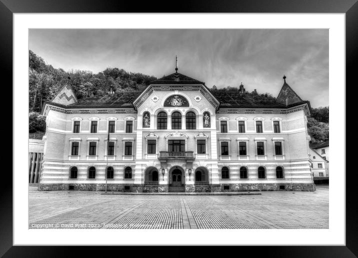  Liechtenstein Government House        Framed Mounted Print by David Pyatt
