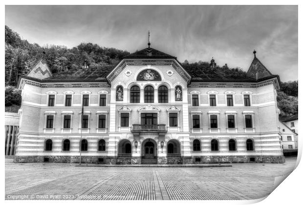  Liechtenstein Government House        Print by David Pyatt