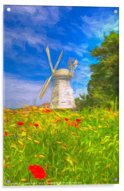 Windmill Meadow Art  Acrylic by David Pyatt
