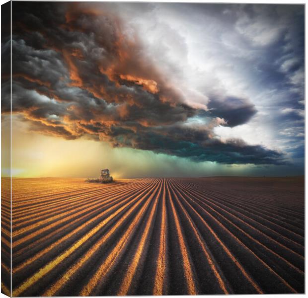New Pastures (Colour) Canvas Print by mark leader