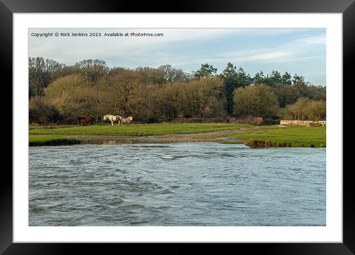 River Ewenny in full flood at Ogmore Castle  Framed Mounted Print by Nick Jenkins