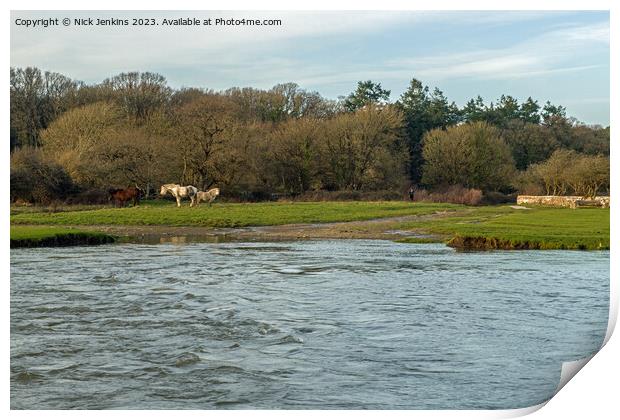 River Ewenny in full flood at Ogmore Castle  Print by Nick Jenkins