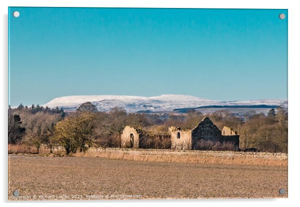 Snowy Cross Fell from Thorpe, Teesdale Acrylic by Richard Laidler