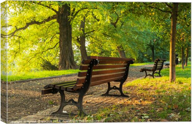 Autumn in the Park Canvas Print by Slawek Staszczuk