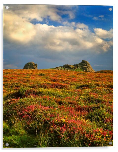 Dartmoor Haytor Acrylic by Darren Galpin