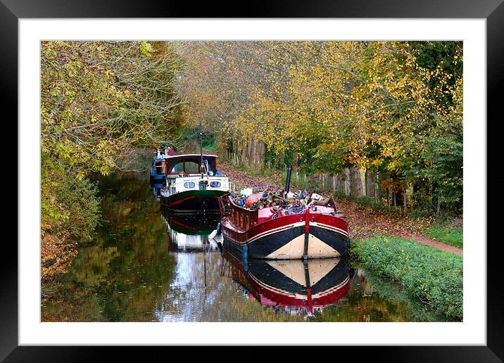 Kennet and Avon canal Framed Mounted Print by Tony Bates