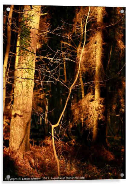 Sunlit woodland  Acrylic by Simon Johnson