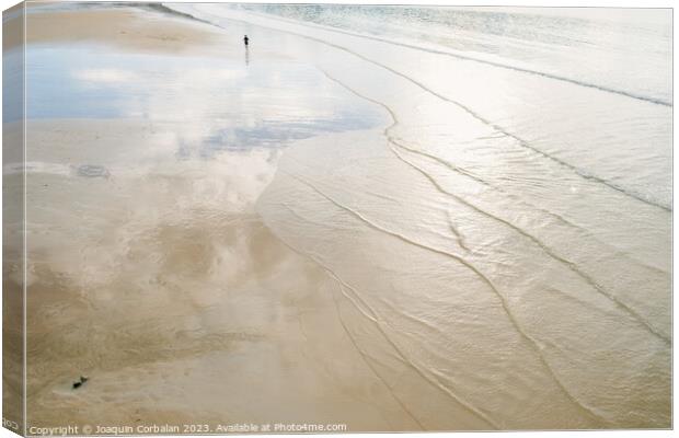 A lone retired person walks away on the sand of a beach in winte Canvas Print by Joaquin Corbalan