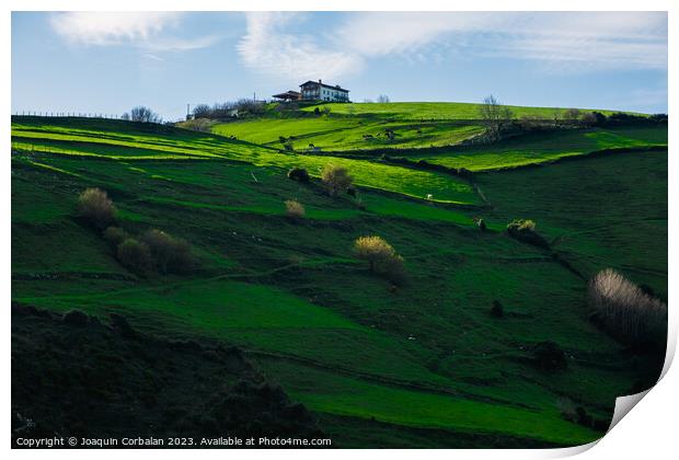 Beautiful sunset over the grassy slopes of the green Basque coun Print by Joaquin Corbalan