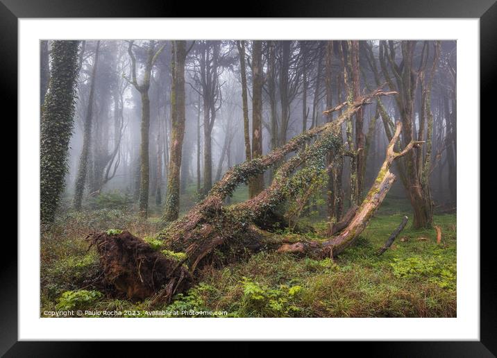 Fallen tree in a foggy forest Framed Mounted Print by Paulo Rocha