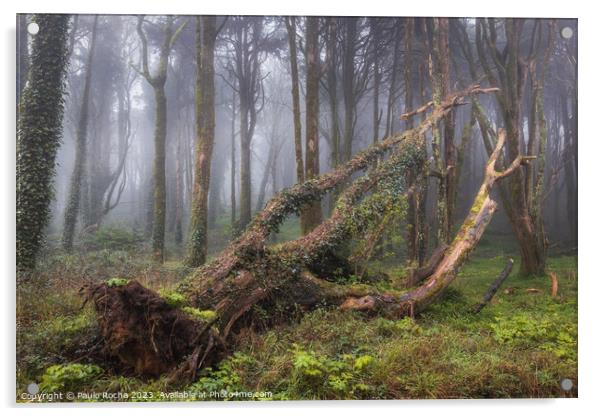 Fallen tree in a foggy forest Acrylic by Paulo Rocha