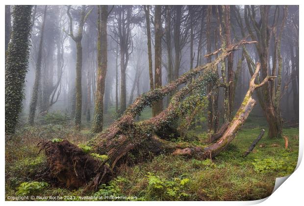 Fallen tree in a foggy forest Print by Paulo Rocha
