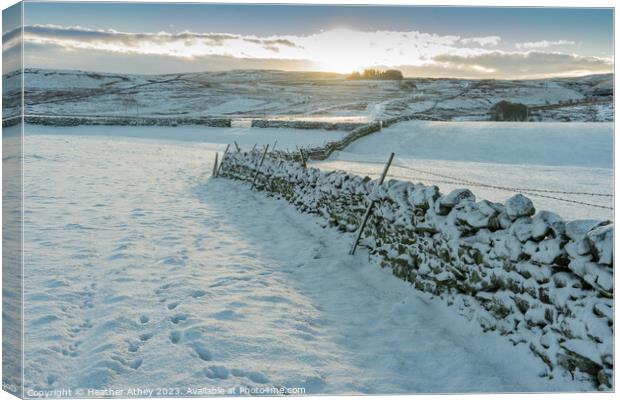 Snowy sunrise in Northumberland, UK Canvas Print by Heather Athey