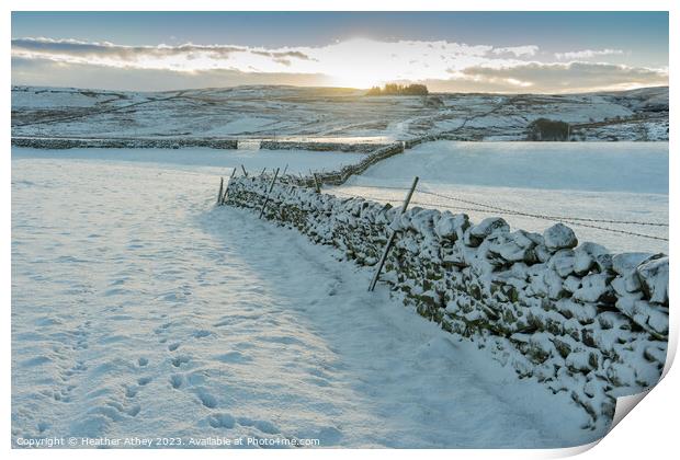 Snowy sunrise in Northumberland, UK Print by Heather Athey
