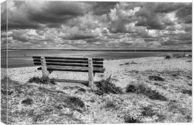 West Wittering Beach Seat monochrome Canvas Print by Diana Mower