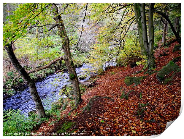 Hardcastle Crags Print by Nicky Vines