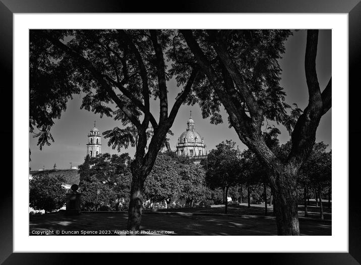 Jerez de la Frontera Cathedral Framed Mounted Print by Duncan Spence