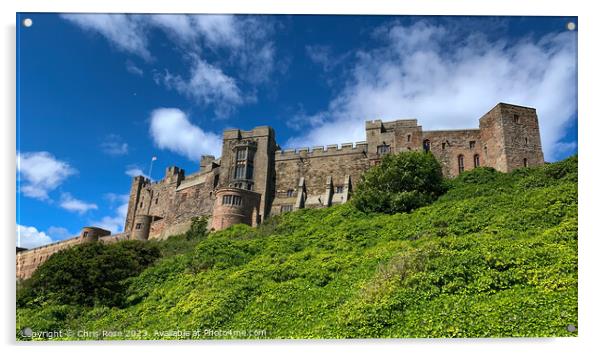 Bamburgh Castle Acrylic by Chris Rose