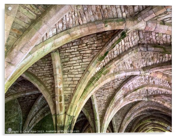 Fountains Abbey cellarium Acrylic by Chris Rose