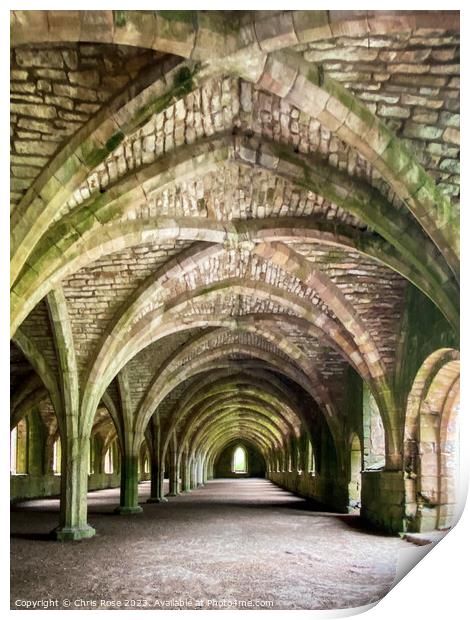 Fountains Abbey cellarium Print by Chris Rose