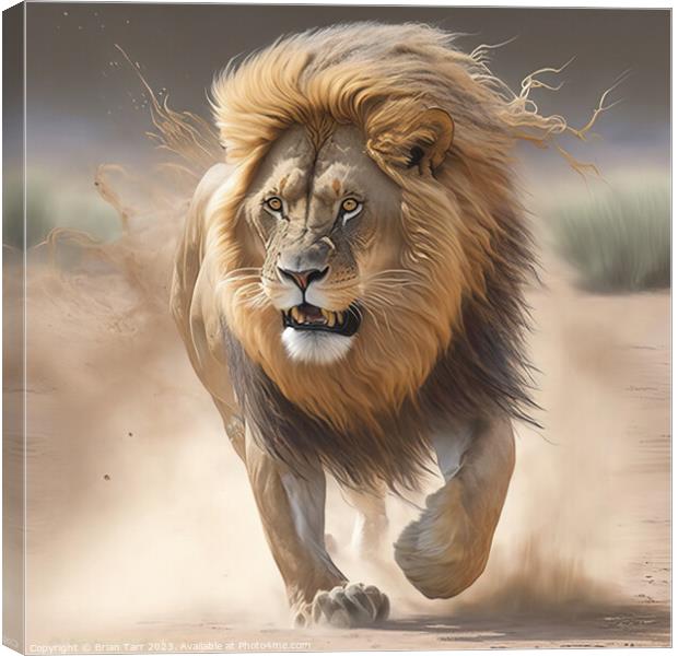 Lion Charging Canvas Print by Brian Tarr