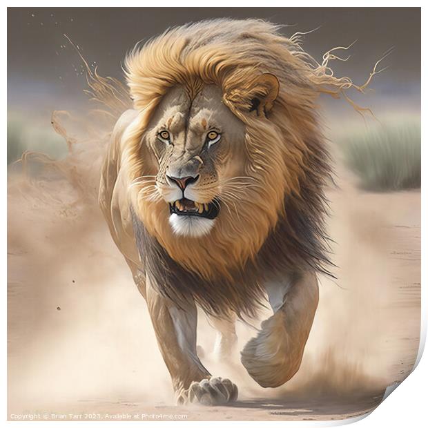 Lion Charging Print by Brian Tarr
