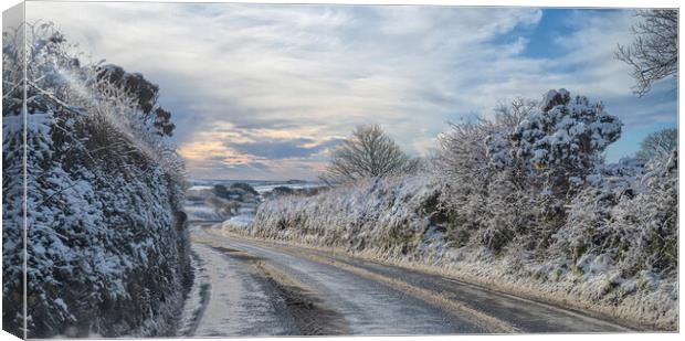 snowy road in cornwall Canvas Print by kathy white