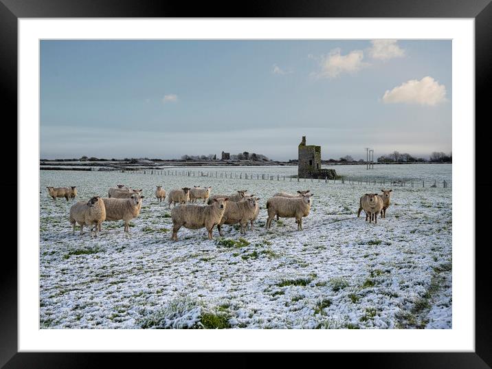 Snow in cornwall with sheep and old tin mines Framed Mounted Print by kathy white