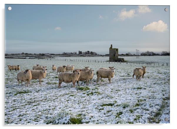 Snow in cornwall with sheep and old tin mines Acrylic by kathy white