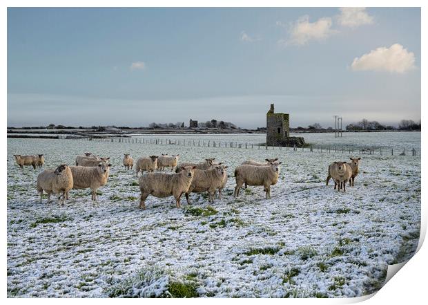 Snow in cornwall with sheep and old tin mines Print by kathy white