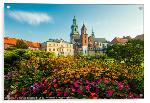 Wawel Castle Acrylic by Slawek Staszczuk