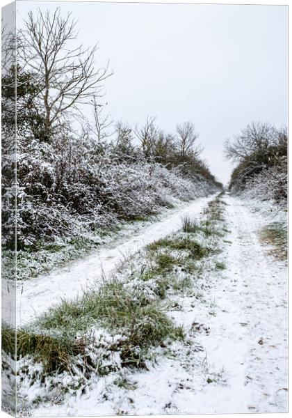 Frozen Tracks Up A Lane In The Oxfordshire Countryside Canvas Print by Peter Greenway