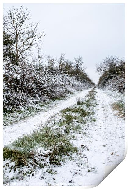 Frozen Tracks Up A Lane In The Oxfordshire Countryside Print by Peter Greenway