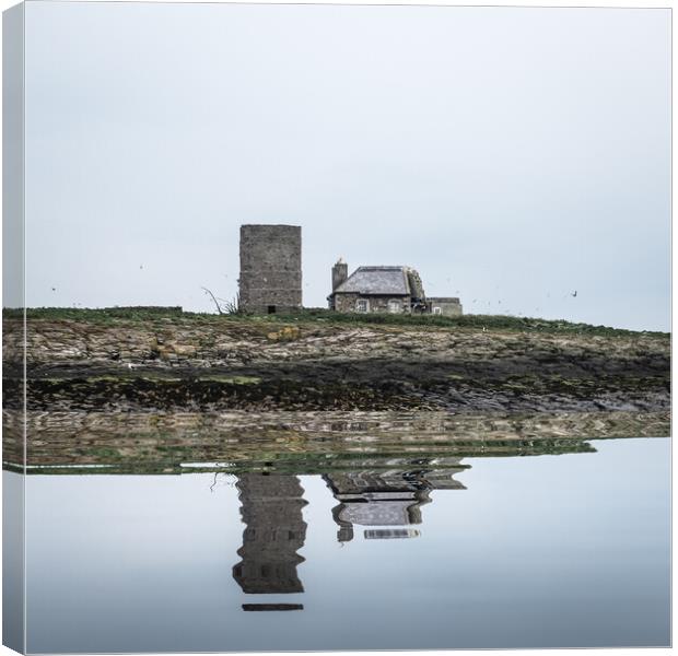 Old Lighthouse and Keepers' Cottage, Brownsman Isl Canvas Print by Mark Jones