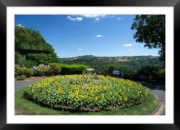 Huddersfield Beaumont Park Framed Mounted Print by Alison Chambers