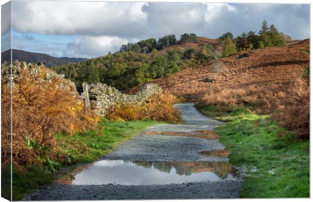 Lovely Rydalwater Canvas Print by Gary Kenyon